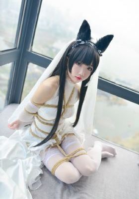 日韩免费看